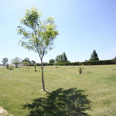 Appartement A 10Km De La Grande Motte, Palavas... Lunel  Esterno foto