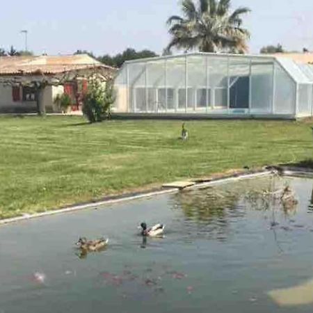 Appartement A 10Km De La Grande Motte, Palavas... Lunel  Esterno foto