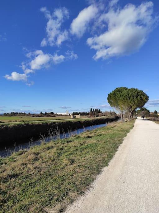 Appartement A 10Km De La Grande Motte, Palavas... Lunel  Esterno foto